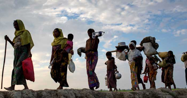 When Rohingya peoples took shelter in Bangladesh