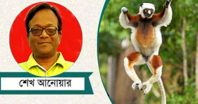 যে বানর গান গায়