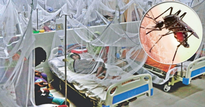 ডেঙ্গু আক্রান্ত হয়ে আরও ৪৬ জন হাসপাতালে