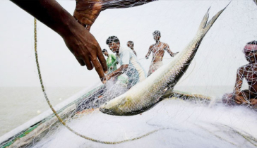কাল থেকে ৬৫ দিন সাগরে মাছ ধরা বন্ধ