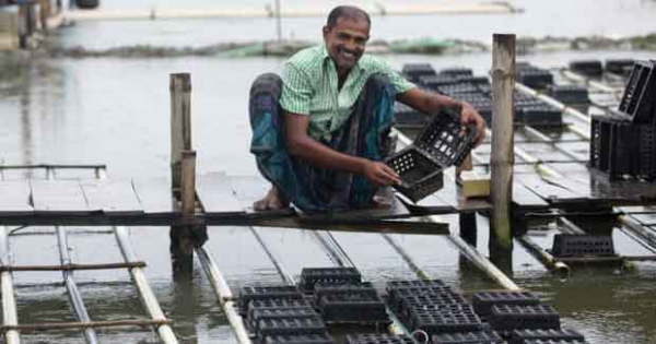 প্রাক্টিক্যাল অ্যাকশন-এর সহায়তায় কাঁকড়া খামার করেছেন এ বাংলাদেশি ভুক্তভোগী