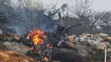 ভারতে বিমান বিধ্বস্ত হয়ে ২ পাইলট নিহত