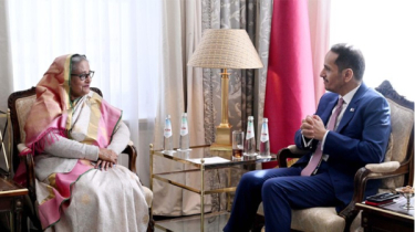 শেখ হাসিনার সঙ্গে কাতার ও ডেনিশ প্রধানমন্ত্রীর বৈঠক