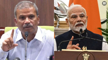 ভারত ছিল বিজয়ের মিত্র, এর বেশি কিছু নয়: আসিফ নজরুল 