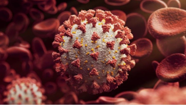 টিকা নিয়েও হতে পারে করোনার নতুন ধরন জেএন.১