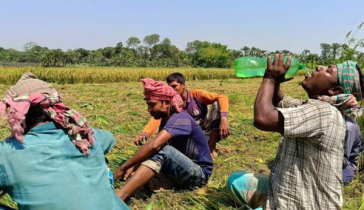 দেশের রেকর্ড তাপমাত্রা ৪৩ ডিগ্রি চুয়াডাঙ্গায় দেশের রেকর্ড তাপমাত্রা ৪৩ ডিগ্রি চুয়াডাঙ্গায়