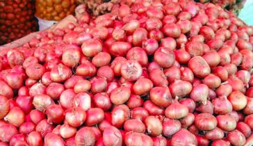 পেঁয়াজ রপ্তানি নিষিদ্ধ করল ভারত