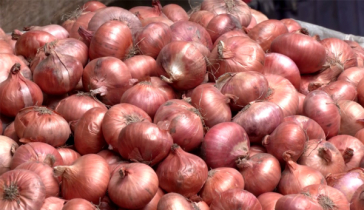 পেঁয়াজ রপ্তানিতে নিষেধাজ্ঞা প্রত্যাহার করলো ভারত পেঁয়াজ রপ্তানিতে নিষেধাজ্ঞা প্রত্যাহার করলো ভারত