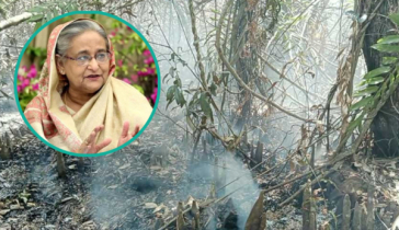 সুন্দরবনে আগুন লাগার কারণ গভীরভাবে খতিয়ে দেখার নির্দেশ প্রধানমন্ত্রীর সুন্দরবনে আগুন লাগার কারণ গভীরভাবে খতিয়ে দেখার নির্দেশ প্রধানমন্ত্রীর