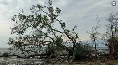 ঘূর্ণিঝড় রেমালে ৭ হাজার কোটি টাকার ক্ষতি 