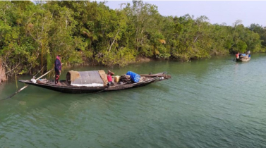 সুন্দরবনে আজ থেকে ৩ মাস প্রবেশ নিষিদ্ধ