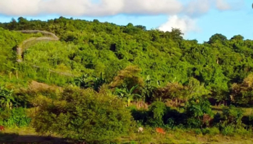 তুমব্রু সীমান্তে ফের গোলাগুলি, সতর্ক বিজিবি