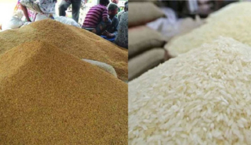 ৪৪ টাকায় চাল, ৩০ টাকা দরে ধান কিনবে সরকার