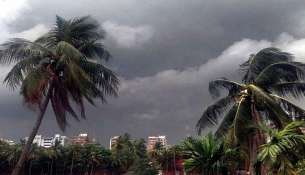 ফাইল ছবি ফাইল ছবি